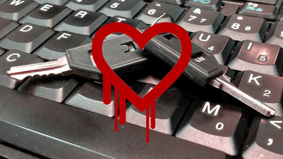 Sobre o Heartbleed: Sua informação está segura no Nibo